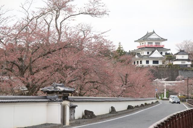 4月8日の桜並木の開花状況