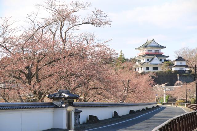 4月9日の桜並木の開花状況