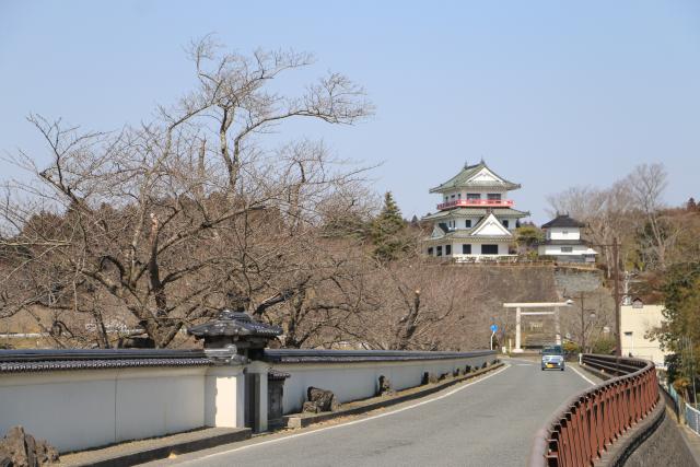 平成28年大橋付近の桜