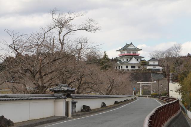 桜の開花状況(平成28年3月24日大橋)