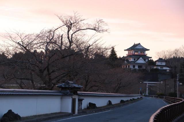 令和2年3月30日の桜の開花状況涌谷大橋