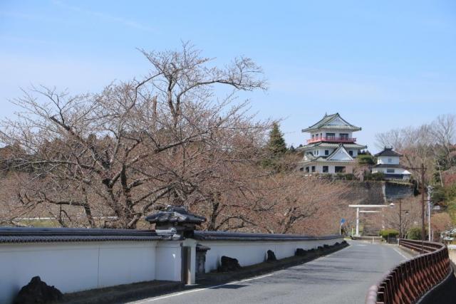 令和2年3月31日の涌谷大橋からの開花状況