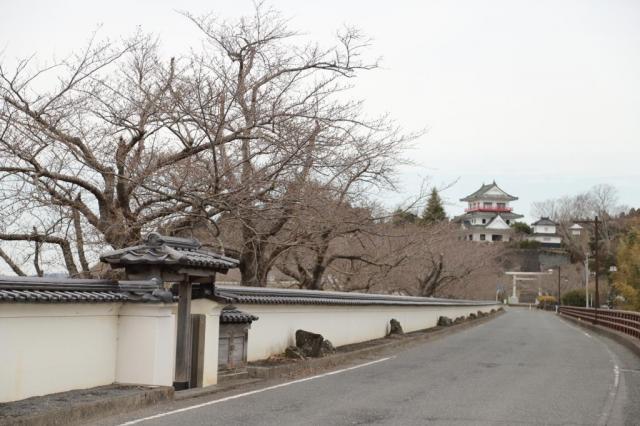 令和4年3月29日の涌谷大橋からの桜の開花状況