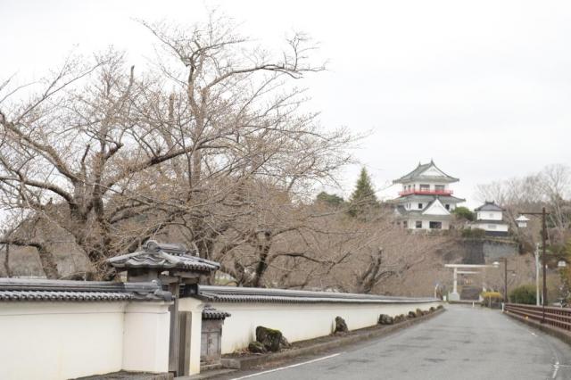 令和4年4月5日の涌谷大橋からの桜の開花状況