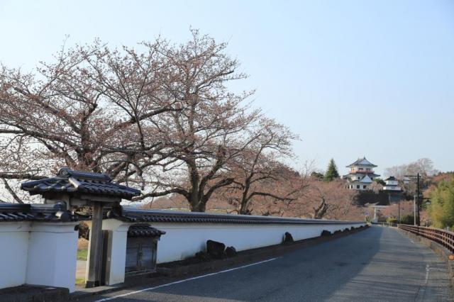 令和5年3月31日の涌谷大橋付近からの桜の開花状況