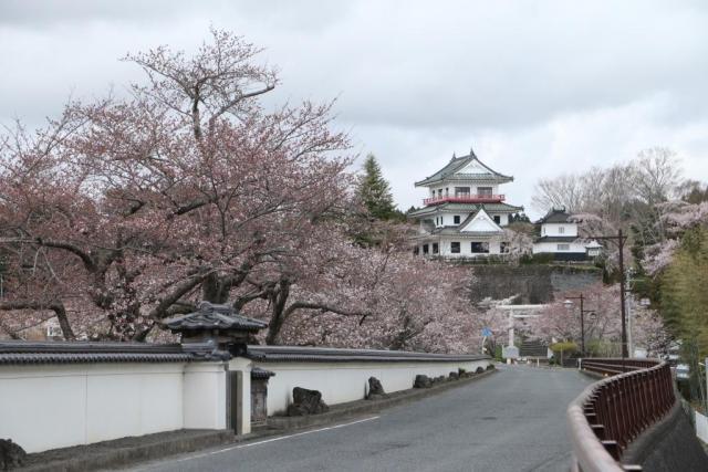 令和6年4月8日涌谷城の様子