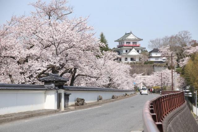 令和6年4月11日涌谷城の様子