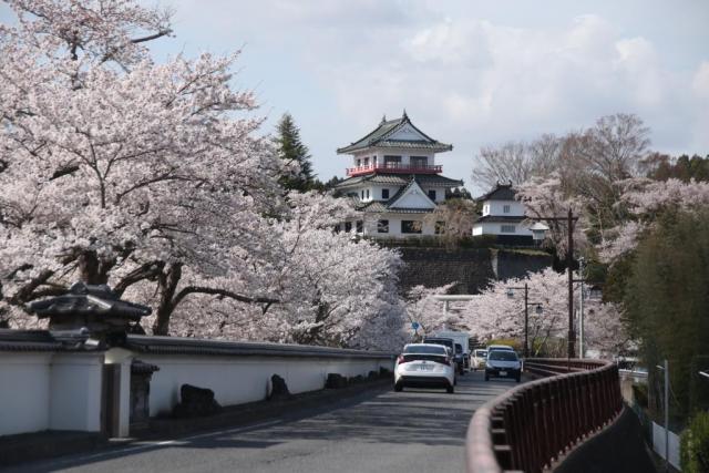 令和6年4月12日涌谷城の様子