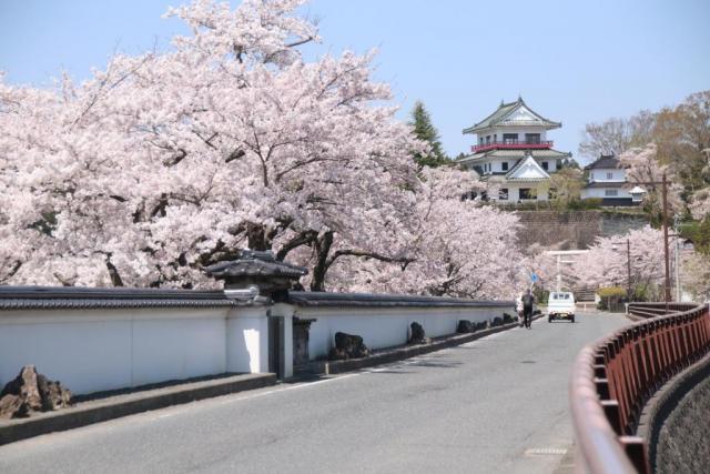 令和6年4月15日涌谷城の様子