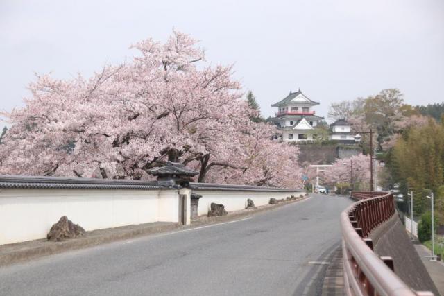 令和6年4月16日涌谷城の様子