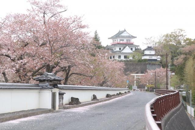 令和6年4月17日涌谷城の様子