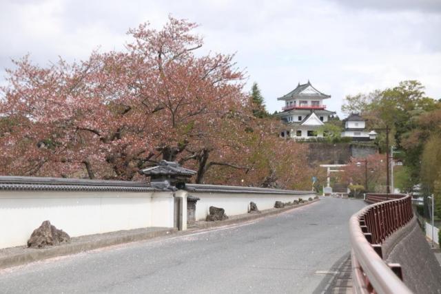 令和6年4月19日涌谷城の様子