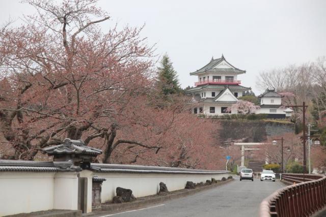 令和7年4月8日城山公園