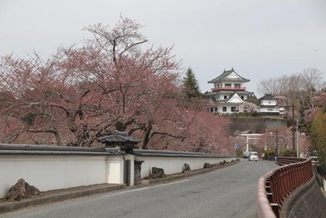 令和7年4月10日城山公園