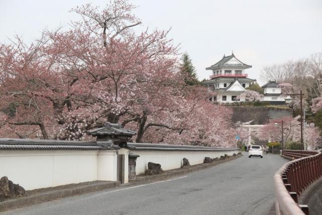 令和7年4月11日城山公園