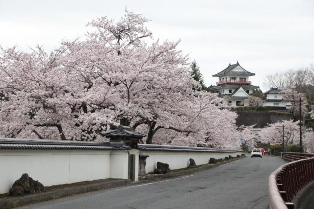 令和7年4月15日城山公園