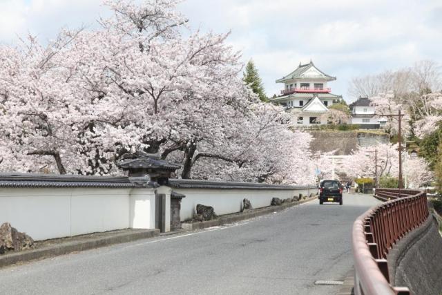 令和7年4月16日城山公園