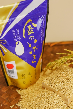 金のいぶき3合パック(パッケージ)